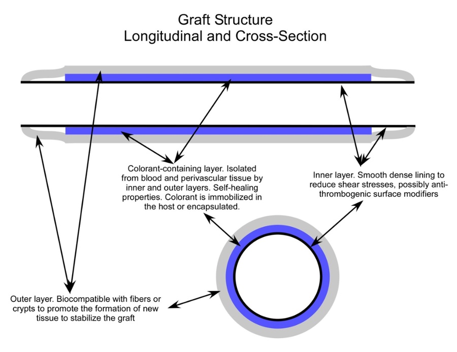 Graft Structure