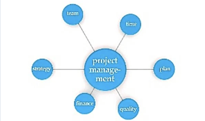 Project Management Voler systems
