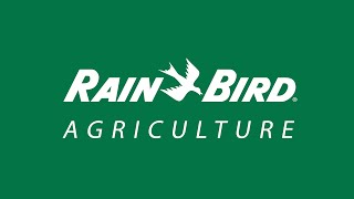 RainBird