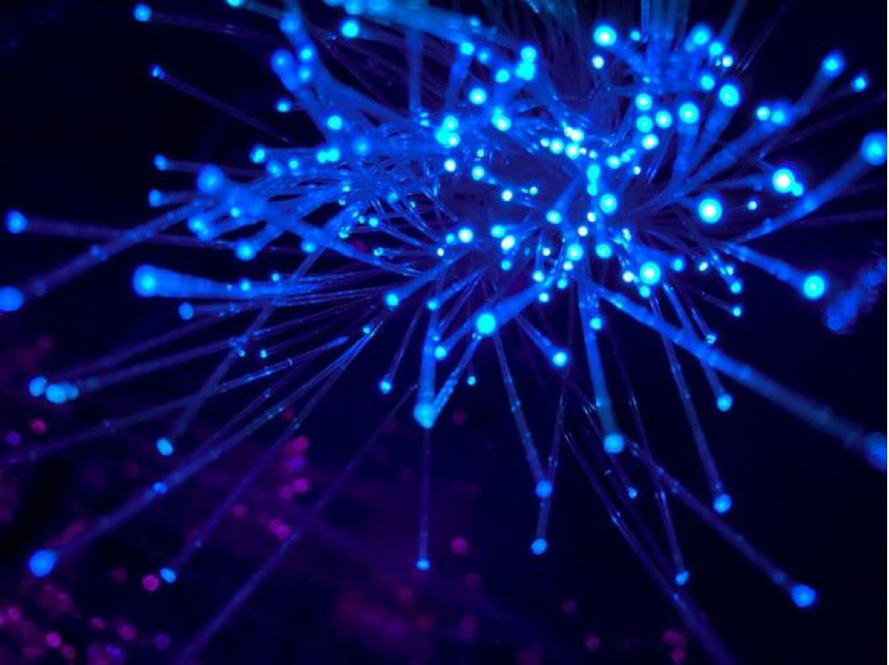 Close up of blue fiber optic sensors