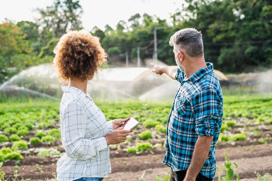 Irrigation System