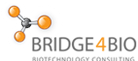 Bridege