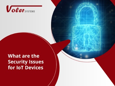 What are the Security Issues for IoT Devices