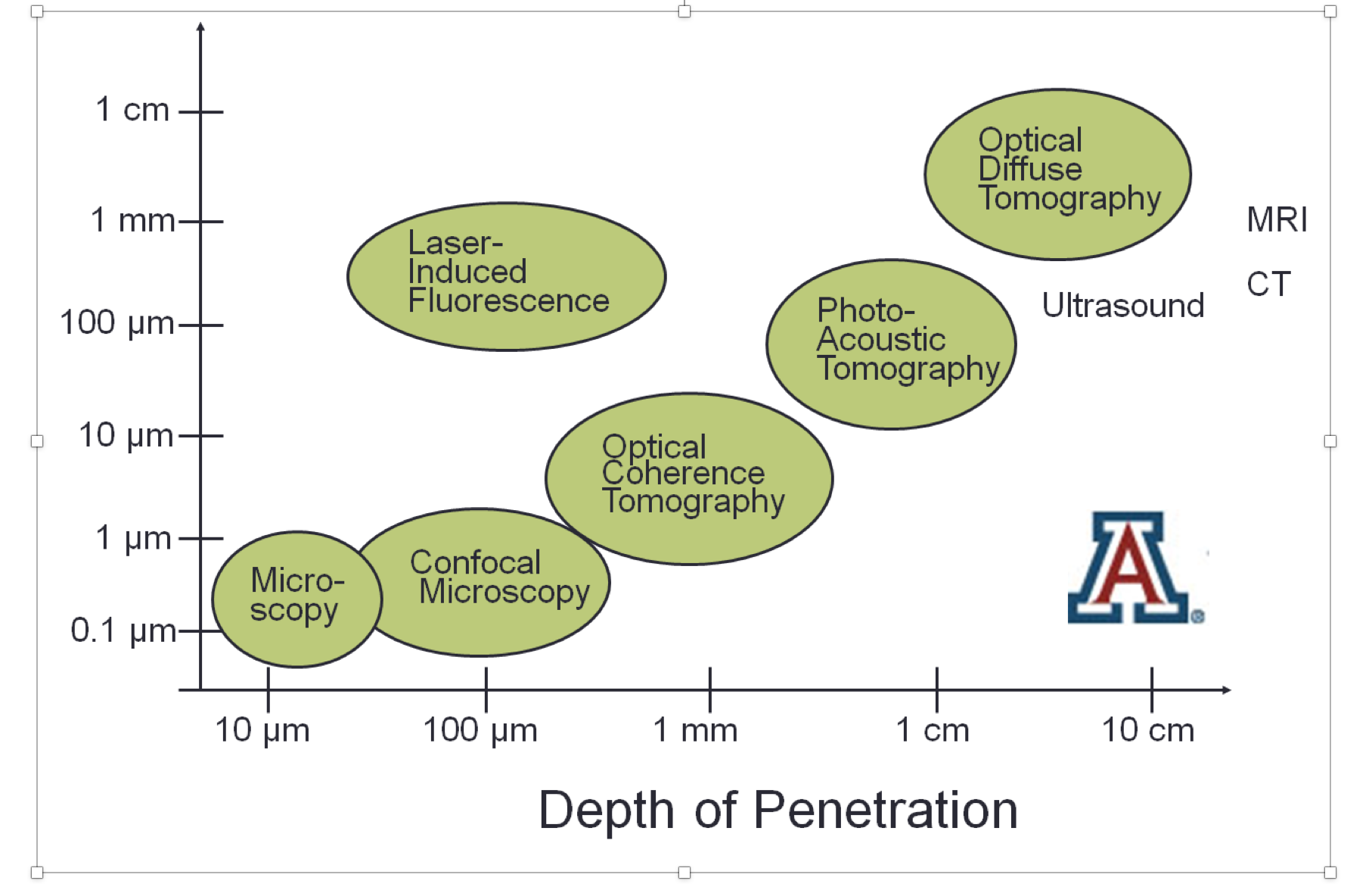 OCT by Jennifer Barton – University of Arizona