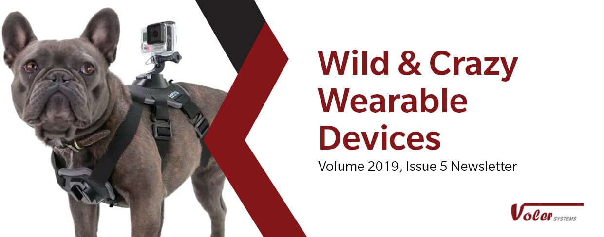 Newsletter 5th Issue - Volume 2018 | Voler Systems