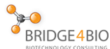 Bridege